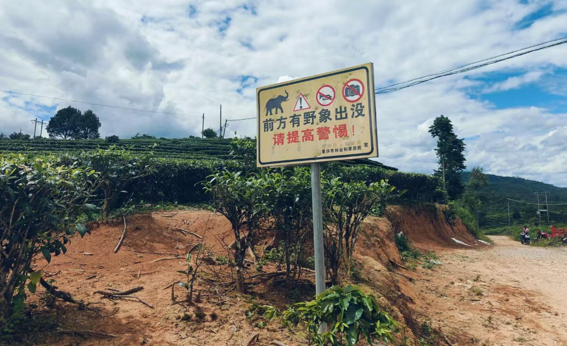 云南采菌体验遭吐槽