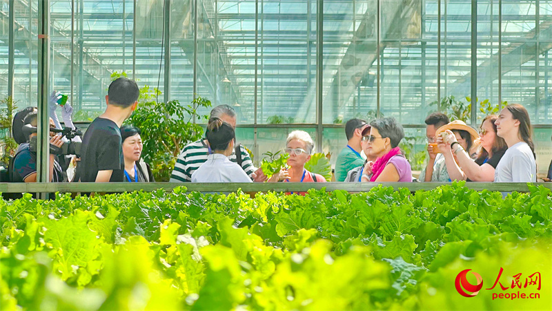 在为期8天的时间里,参访团将深入乌鲁木齐市,昌吉回族自治州,吐鲁番市