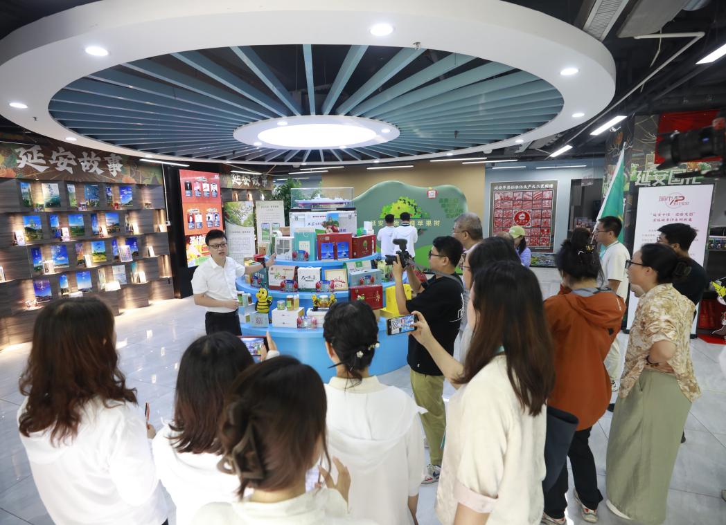 千秋一河大潮阔|延安市宝塔区：数字经济新引擎 焕新革命老区新面貌