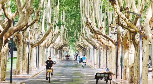 华商头条|西安多个站点实时气温超40℃ 未来几天易出现短时强降水