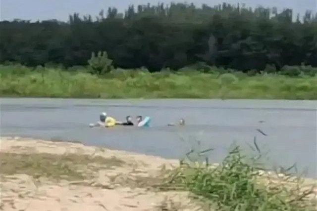 救3名落水儿童 栾留伟、赵金等6人被评见义勇为先进个人