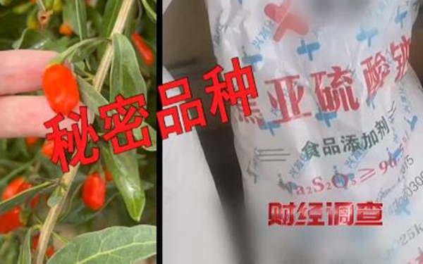 为保“品质”竟给枸杞“熏硫磺”