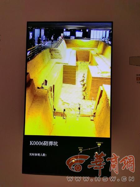 IMG_20240908_125050.jpg
