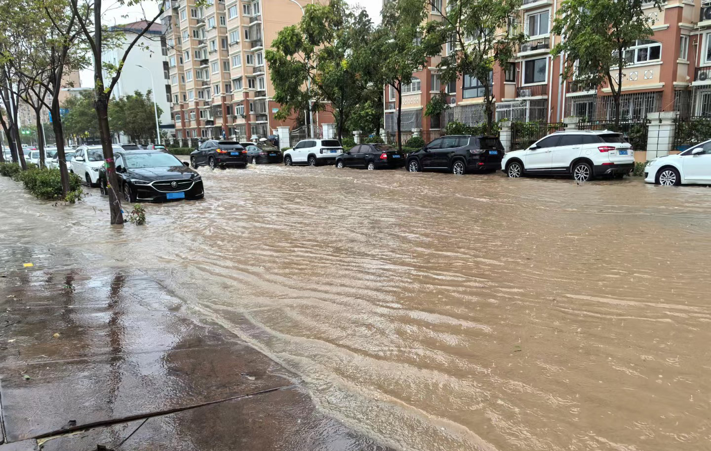 暴雨之下 “普拉桑”磨砺超大城市韧性(图1)