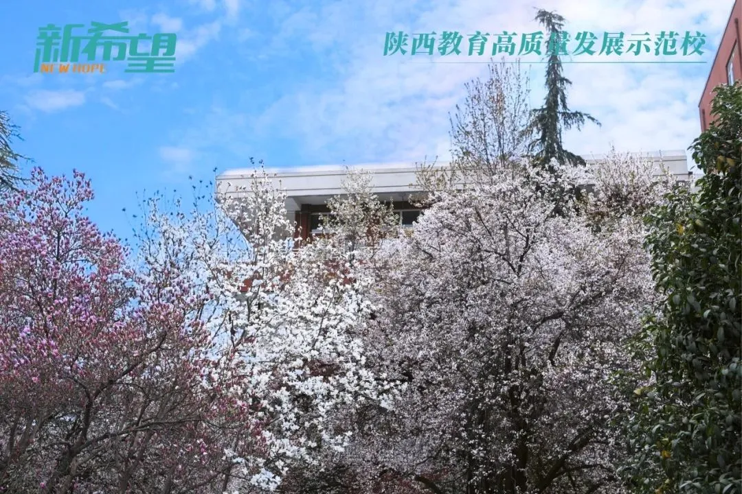 640.webp