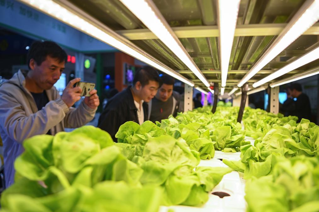 10月25日,观众在杨凌农高会了解智慧植物工厂。新华社记者邹竞一 摄