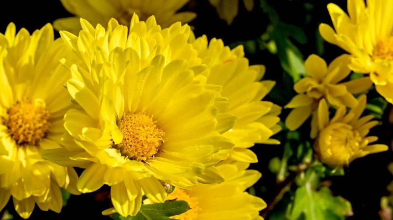 BdtLFjTE8vCHp7DX.jpg 1183300.jpg