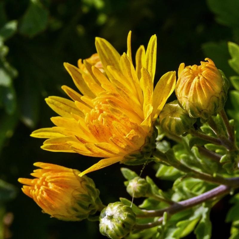 a44fcmUXznHycUic.jpg 1183297.jpg