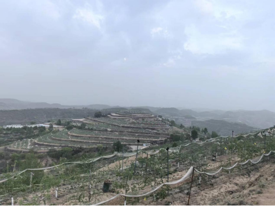 9FEiy0p7VXB8Xecp.png image.png