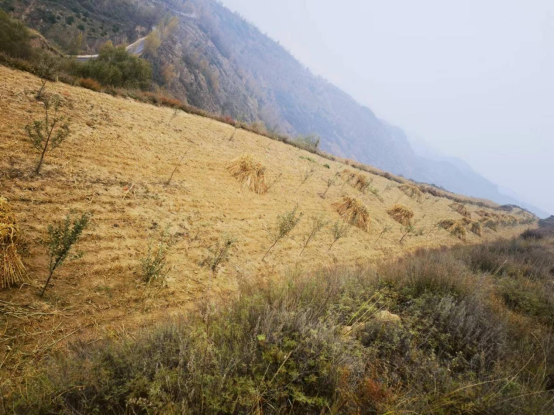 qtrY7lxECuYxdepF.png image.png