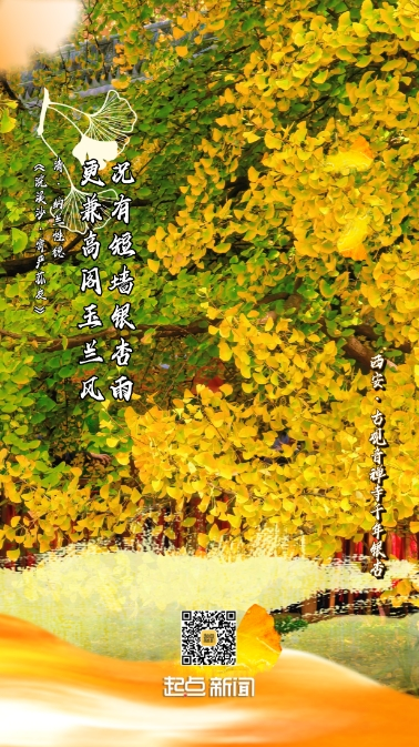 f2ccc17e74c58666f1f30a4817ba7541.png