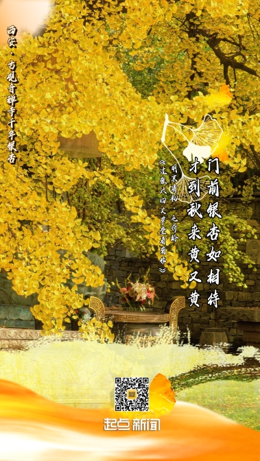d1a0674e7f97ff96eeef47b2a90321cc.png