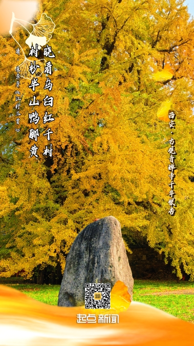 166c5b763462b15926b1df8598f68255.png