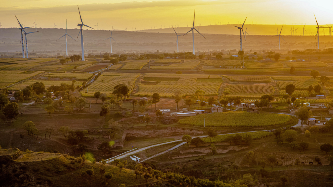 pYCs3sWI3QH3QjPO.png 2.png