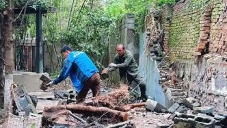 树木“穿墙钻隙” 安全隐患如何解？