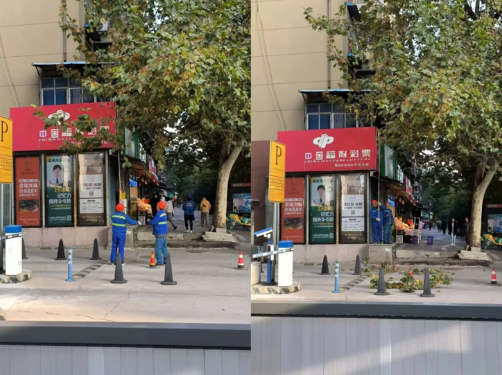 华商头条|行道树遮挡门头 需要修剪 西安高新区城管执法局：立马安排！