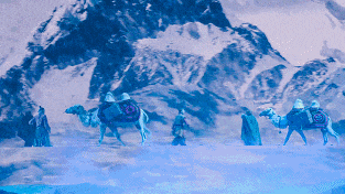 《驼铃传奇》