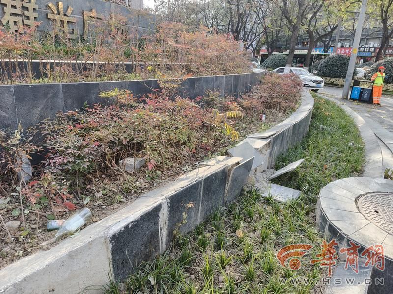 IMG20241227152840.jpg