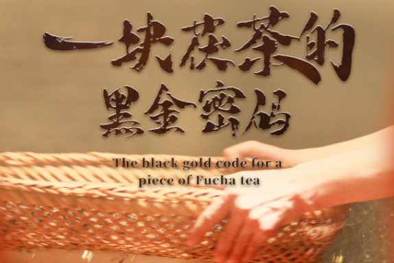 华商头条|走读丝路·跨越古今｜双语海报 第三集：一块茯茶的黑金密码