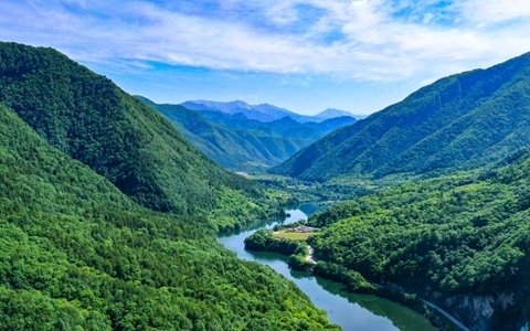 华商头条|2024年陕西林业产业总产值超1700亿元