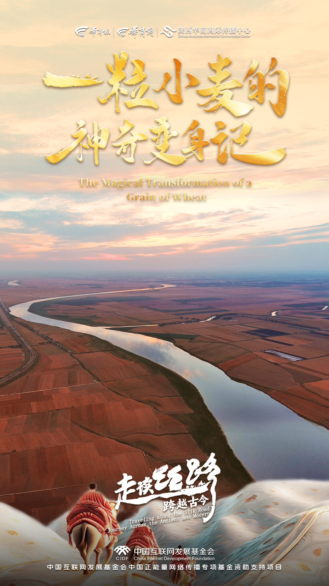 华商头条|走读丝路·跨越古今丨双语纪录片 第六集：一粒小麦的神奇变身记