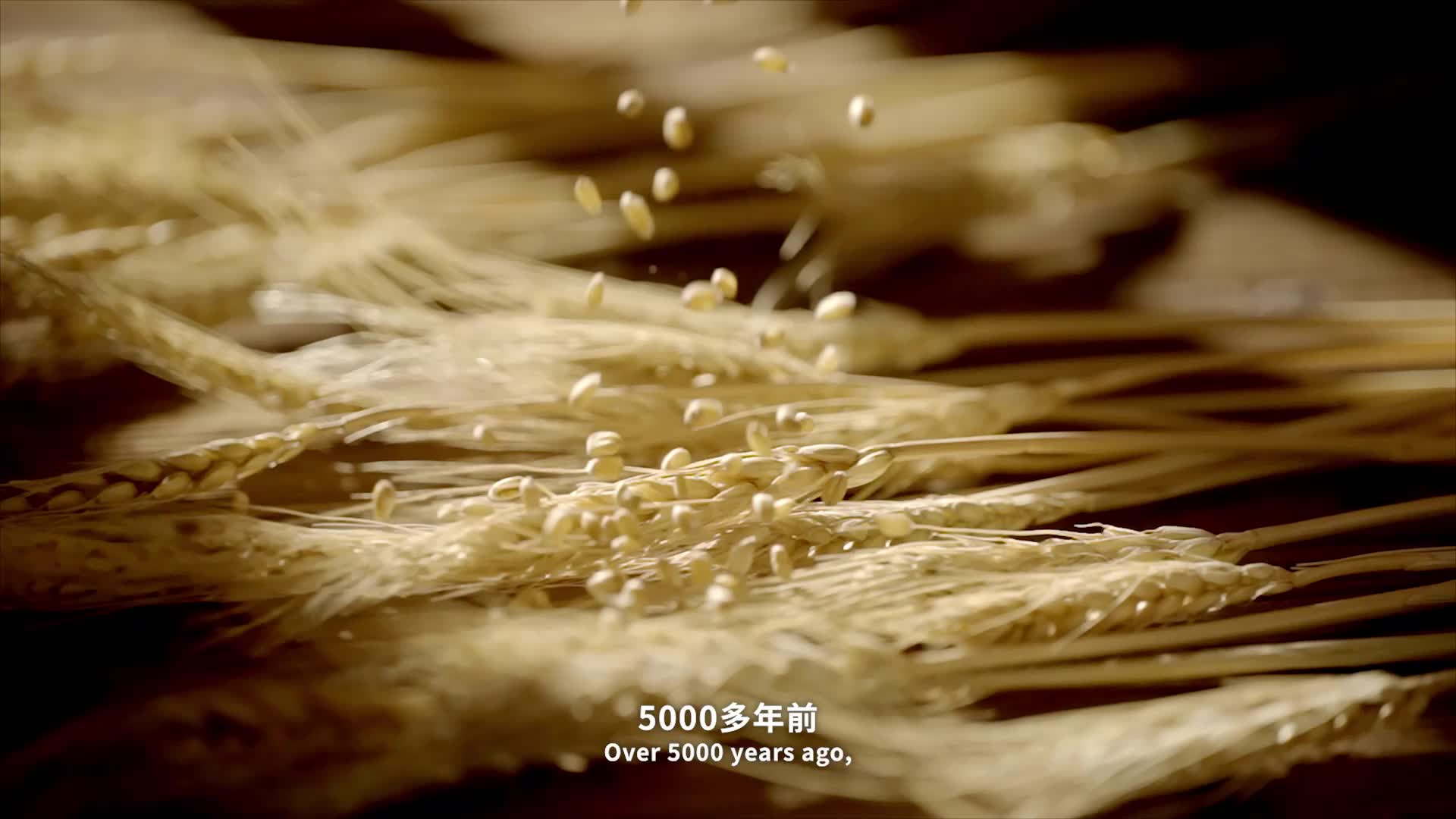 华商头条|走读丝路·跨越古今丨双语纪录片预告片  第六集：一粒小麦的神奇变身记