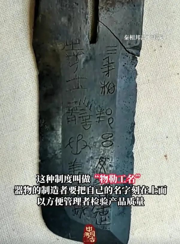 (图源:陕视新闻)