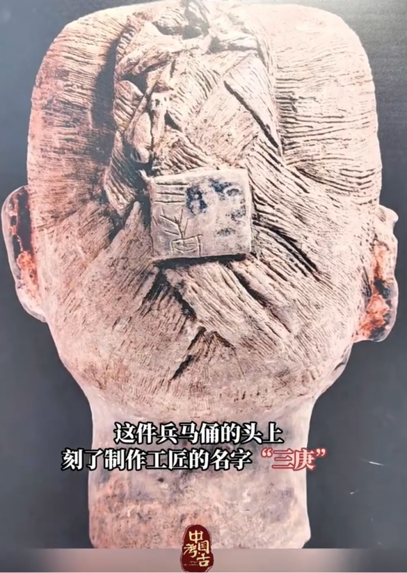 (图源:陕视新闻)