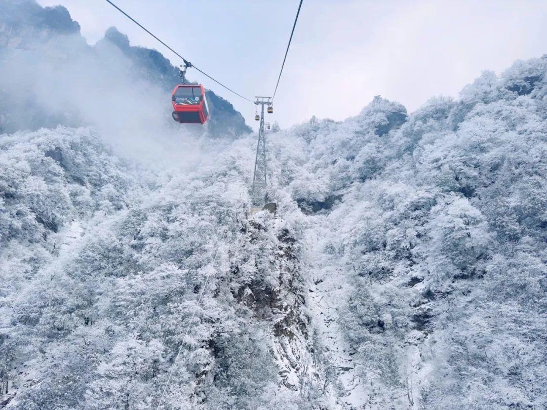(图源:汉中市旅游)