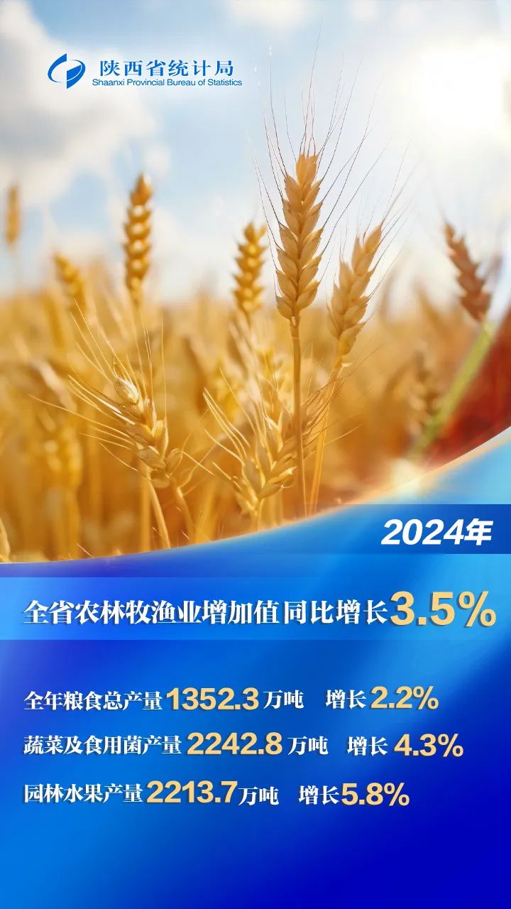 2024年陕西省实现地区生产总值3553877亿元 同比增长53%(图2)