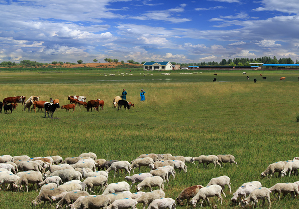 华商头条|陕企在鄂尔多斯盆地探明一处特大型铀矿