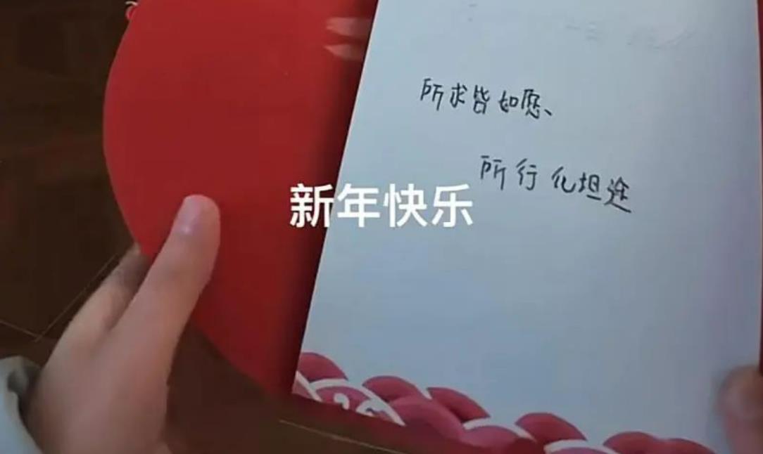 盲人女大学生1200公里独自返乡 网友：2025年第一哭完成