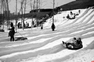 “白雪换白银” 陕西端起“雪饭碗”