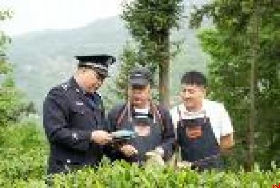忠诚履职 勇毅担当 书写平安幸福紫阳“画卷”