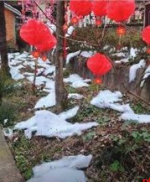 用棉花造雪景营造“雪中打卡”氛围