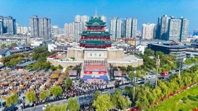 担当实干蓄势赋能 砥砺前行勇作标兵