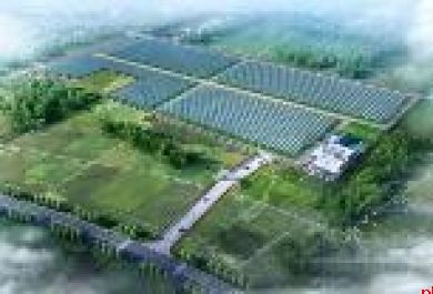 抓重点 破难题 长武苹果全产业链发展迈上新台阶