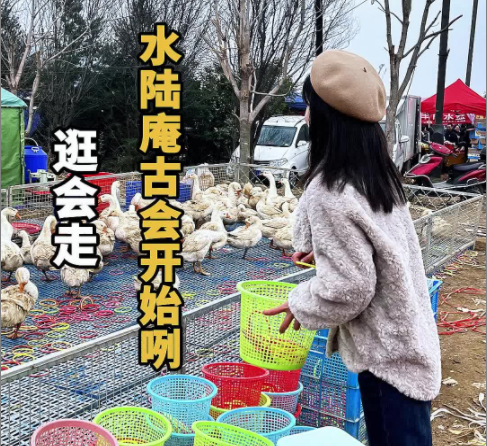 逛会走！蓝田水陆庵古会开始咧
