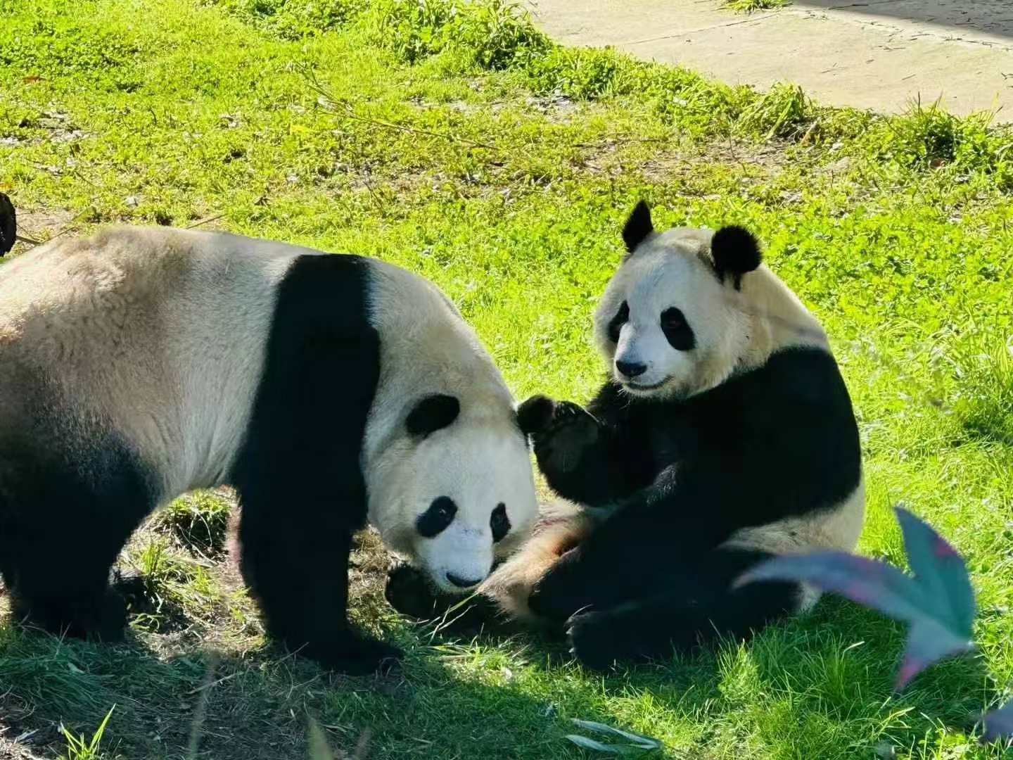 微信图片_20250226142917.jpg
