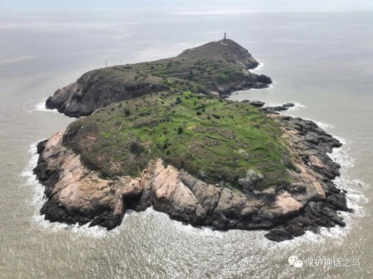 鸟类研究组织300元天招监测员：在海岛2人一组生活2个月(图2)