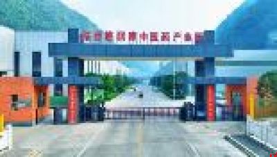 山阳：担当实干 攻坚克难 推动高质量发展取得新成效