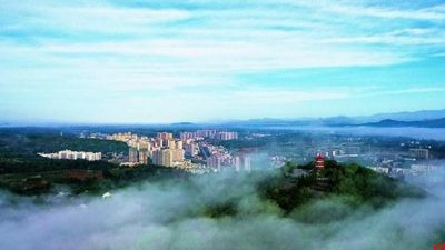 砥砺奋进 真抓实干 洛南高质量发展迈出坚实步伐