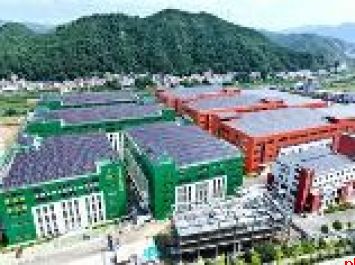 山阳：担当实干 攻坚克难 推动高质量发展取得新成效