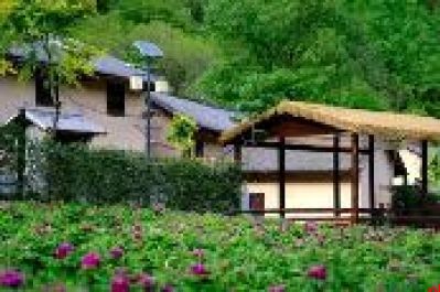 保持定力 知难克难 柞水以最大努力争取最好结果