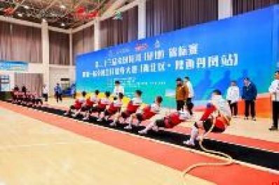 丹凤 奋楫争先 奏响高质量发展强音