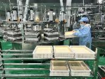 砥砺奋进 真抓实干 洛南高质量发展迈出坚实步伐