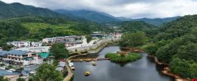 保持定力 知难克难 柞水以最大努力争取最好结果