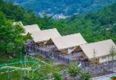 山阳：担当实干 攻坚克难 推动高质量发展取得新成效