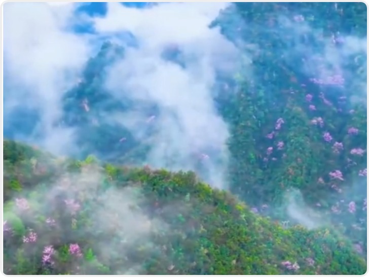 华商头条|出门踏春啦！陕西这些景区对女性免门票