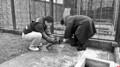 汉中市野生动植物保护管理站成为野生动物的119和120